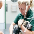 Veterinärmedizin